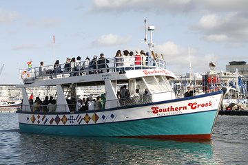 Seal and Harbour Cruises 