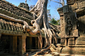 Personalised Angkor Wat Day Tour by an Air-conditioned Car