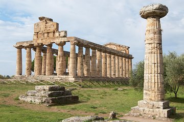 Paestum, Buffalo Mozzarella tasting and light lunch private tour