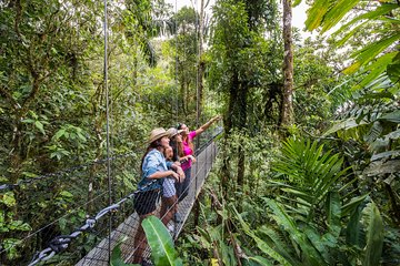 Mistico Park Hanging Bridges Guided Tour