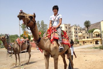 Golden Triangle Tour with Dhoola Raoji