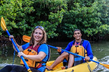 Bioluminescent Bay Night Kayaking Tour in Laguna Grande Fajardo