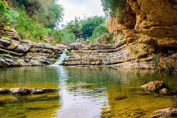 Ourika Valley Day Trip Private