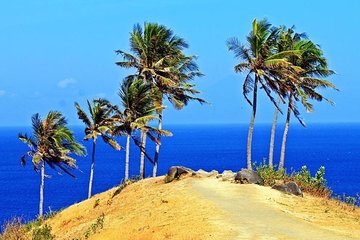 Lombok Waterfall Tour with Forest and Hill: All Inclusive