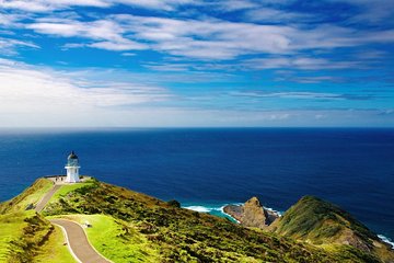 3-Day Bay of Islands Tour from Auckland