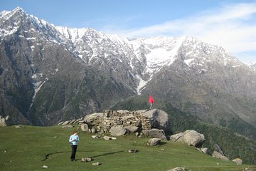 Dharamshala & Palampur Tea Gardens from Chandigarh