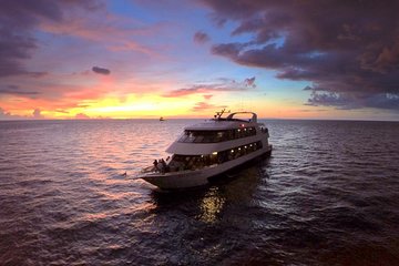 Evening Yacht Cruise with Optional Dining in St. Petersburg