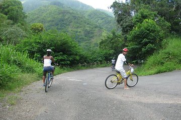 Blue Mountain Bicycle Tour from Kingston