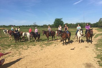 Memphis Horseback Trail Ride Tour