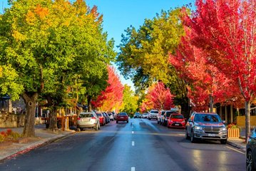 Adelaide: Private Boutique Wine Tasting & Sightseeing Tour