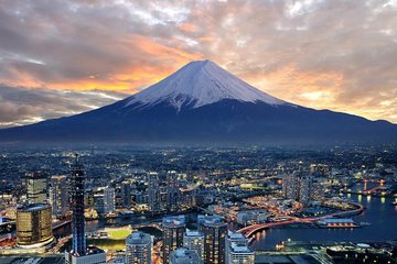 1 Day Charter Tour to Mt Fuji View