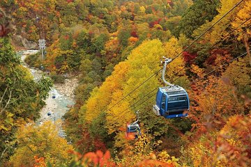 Niigata Autumn Leaves: Naeba Dragondola & Tashiro Ropeways