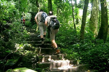 2-day Ninh Binh: Bai Dinh Pagoda - Trang An - Cooking & Cuc Phuong National Park