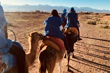 Atlas Mountains, Imlil, 4 valleys day trip and Camel Ride from Marrakech