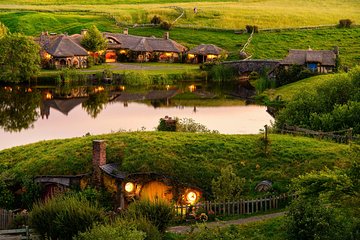 Auckland to Rotorua via Hobbiton Small Group Tour (One Way)