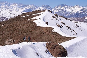  Experience Wildlife Encounter in Provincia Mountain of Chile.