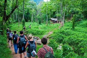 Hoa Lu or Bai Dinh–Trang An –Mua Cave- Cuc Phuong Nationnal park / 2days1night