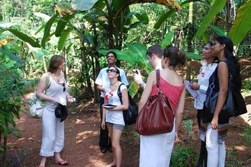 Spice Tour And Home-Cooked Goan Lunch At An Organic Plantation