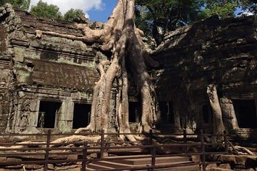 Half-Day Ta Prohm and Banteay Kdei Tour