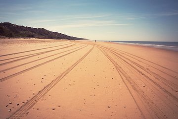 Doñana Natural Park Full-Day Tour from Seville