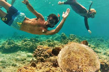 Oahu Circle Island: Snorkel with Turtles & Explore Turtle Beach 