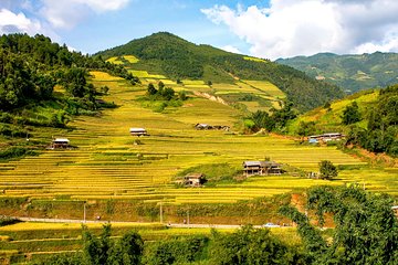 Sapa hard trekking tour 3 days 2 nights by bus - Homestay