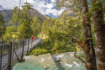 Routeburn Track Guided Walk (Half-Day) 