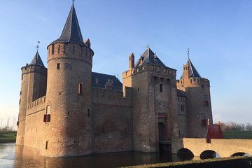 Private Tour Amsterdam Castle Dutch Countryside by Car Amsterdam Private Guide