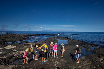 Seymour North Island & Las Bachas Full-Day Tour