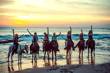 AfroMex Village Beach Horseback Baby Turtle Release & Crocs Farm