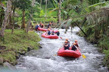 Bali Rafting with Ubud Tour