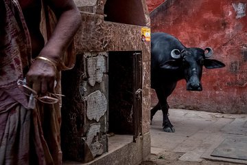 Varanasi Puzzled Alleys and Hidden Shrines