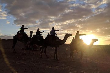 Giza Pyramids-Camel ride-Trip during Sunrise or sunset
