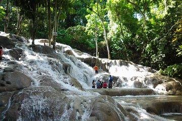 Dunn's River Falls excursion from Montego Bay