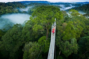 Monteverde Cloud Forest privateTour