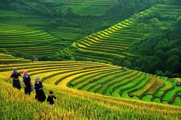 3-Night Sapa Trek and Homestay with Round Trip Transfer from Hanoi