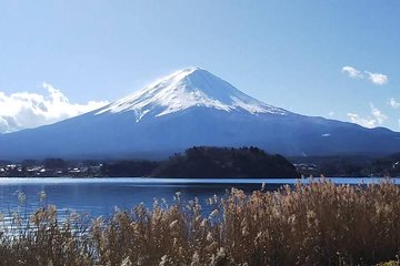 Mt. Fuji Day Tour by Private Minivan with Licensed Tour Guide and Driver