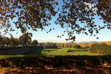 Private Tour: Historic Lucca by bike