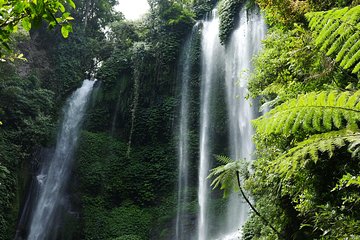 Sekumpul and Banyumala Waterfalls Hiking Tour (Private & All-Inclusive )