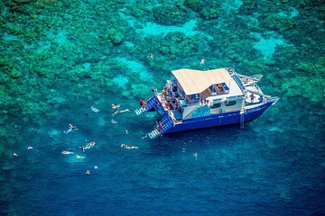 Morning Kealakekua Snorkel Tour