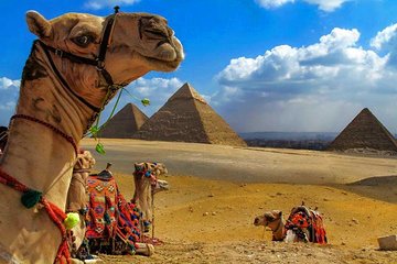 Private 13 Days tour Cairo, Alexandria, Nile Cruise and Hurghada