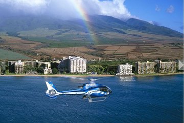 Road to Hana Luxury Limo-Van Tour with Helicopter Flight