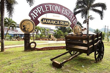 Appleton Estate Rum Tour and Tasting from Kingston