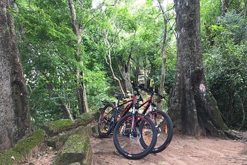 Siem Reap Bike-Twilight in Small Circuit 