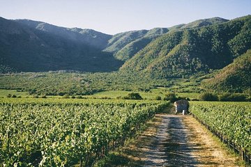 Private Full Day Guided Trip to Casablanca Valley - Visit to 2 Vineyards