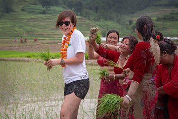 Rice Plantation Experience in Bhaktapur