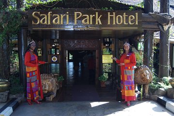 Safari Park Dinner with Safari Cats Dance Show