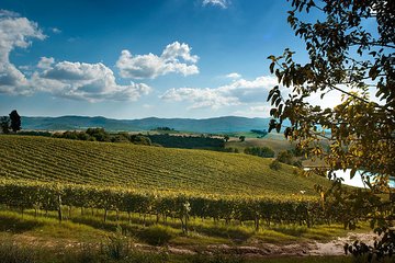 Private Montalcino and Pienza Tour from Florence