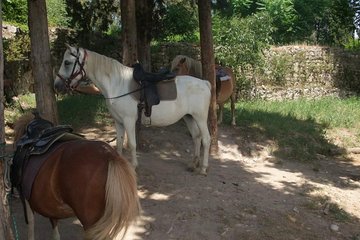 Ancient Roman Horseback Riding Experience