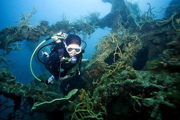 Coron Reefs & Wreck Tour (Shared Tour)